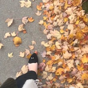 Meet your Posher, Sam